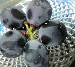 ���̍��̖l�́E�E�E�E�E������������́H