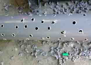 ���̍��̖l�́E�E�E�E�E������������́H