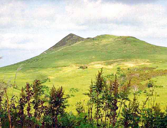 ���̍��̖l�́E�E�E�E�E������������́H