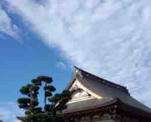 ���̍��̖l�́E�E�E�E�E������������́H