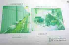 ���̍��̖l�́E�E�E�E�E������������́H