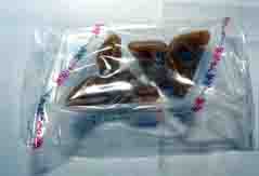 ���̍��̖l�́E�E�E�E�E������������́H