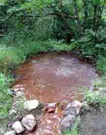 ���̍��̖l�́E�E�E�E�E������������́H