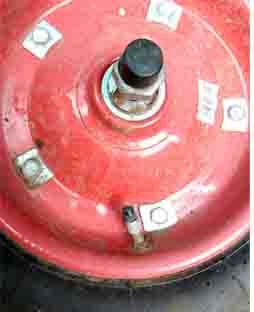 ���̍��̖l�́E�E�E�E�E������������́H