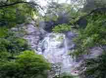 ���̍��̖l�́E�E�E�E�E������������́H