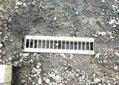 ���̍��̖l�́E�E�E�E�E������������́H