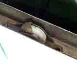 ���̍��̖l�́E�E�E�E�E������������́H