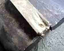 ���̍��̖l�́E�E�E�E�E������������́H