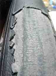 ���̍��̖l�́E�E�E�E�E������������́H