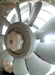 ���̍��̖l�́E�E�E�E�E������������́H