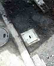 ���̍��̖l�́E�E�E�E�E������������́H