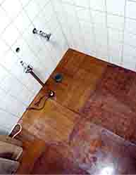 ���̍��̖l�́E�E�E�E�E������������́H