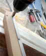 ���̍��̖l�́E�E�E�E�E������������́H