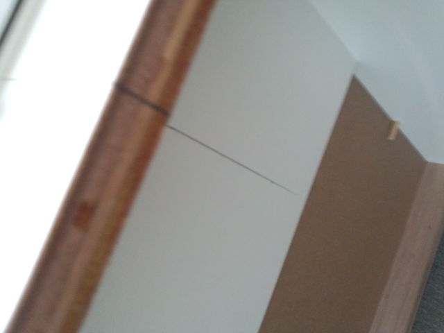 ���̍��̖l�́E�E�E�E�E������������́H