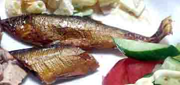 ���̍��̖l�́E�E�E�E�E������������́H