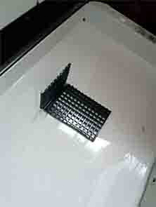 ���̍��̖l�́E�E�E�E�E������������́H