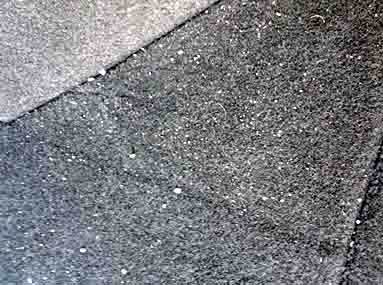 ���̍��̖l�́E�E�E�E�E������������́H