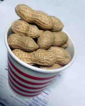 ���̍��̖l�́E�E�E�E�E������������́H