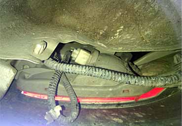 ���̍��̖l�́E�E�E�E�E������������́H