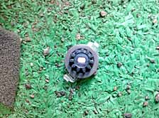 ���̍��̖l�́E�E�E�E�E������������́H