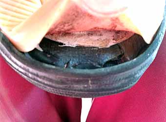 ���̍��̖l�́E�E�E�E�E������������́H