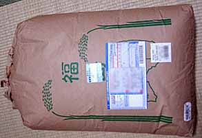 ���̍��̖l�́E�E�E�E�E������������́H