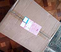 ���̍��̖l�́E�E�E�E�E������������́H