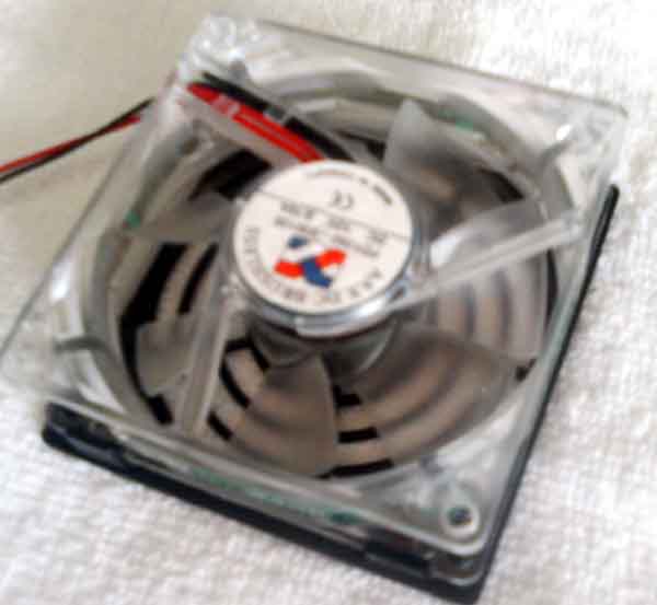 ���̍��̖l�́E�E�E�E�E������������́H