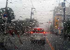 ���̍��̖l�́E�E�E�E�E������������́H