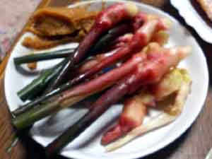 ���̍��̖l�́E�E�E�E�E������������́H