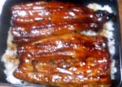 ���̍��̖l�́E�E�E�E�E������������́H