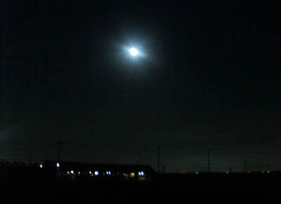 ���̍��̖l�́E�E�E�E�E������������́H