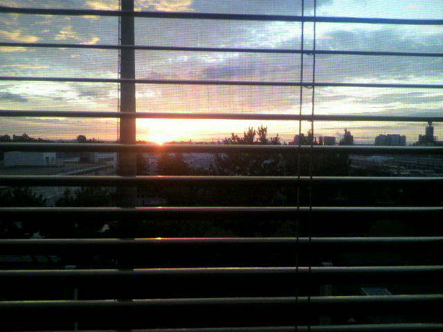 ���̍��̖l�́E�E�E�E�E������������́H