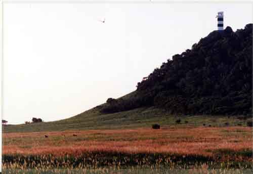 ���̍��̖l�́E�E�E�E�E������������́H