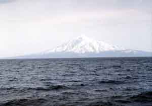 ���̍��̖l�́E�E�E�E�E������������́H