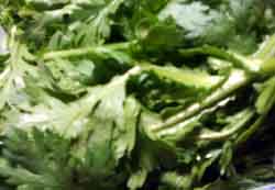 ���̍��̖l�́E�E�E�E�E������������́H