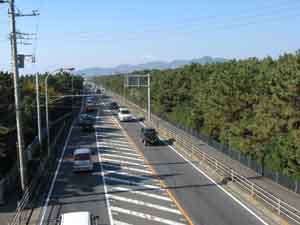 ���̍��̖l�́E�E�E�E�E������������́H