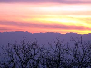 ���̍��̖l�́E�E�E�E�E������������́H