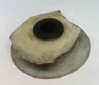 ���̍��̖l�́E�E�E�E�E������������́H