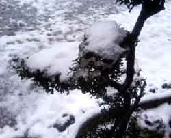 ���̍��̖l�́E�E�E�E�E������������́H