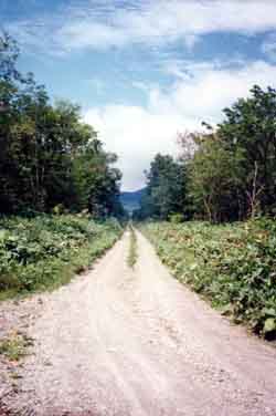 ���̍��̖l�́E�E�E�E�E������������́H