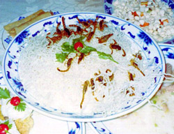 ���̍��̖l�́E�E�E�E�E������������́H