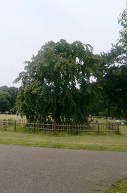 ���̍��̖l�́E�E�E�E�E������������́H