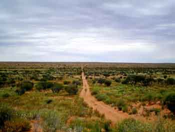 ���̍��̖l�́E�E�E�E�E������������́H