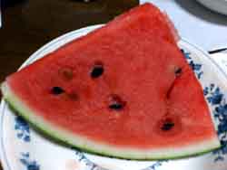 ���̍��̖l�́E�E�E�E�E������������́H