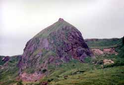 ���̍��̖l�́E�E�E�E�E������������́H