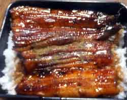 ���̍��̖l�́E�E�E�E�E������������́H