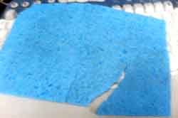 ���̍��̖l�́E�E�E�E�E������������́H