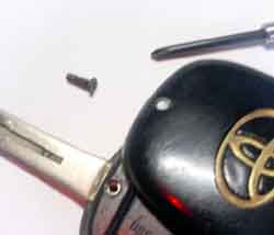 ���̍��̖l�́E�E�E�E�E������������́H