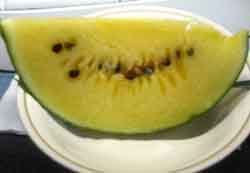 ���̍��̖l�́E�E�E�E�E������������́H